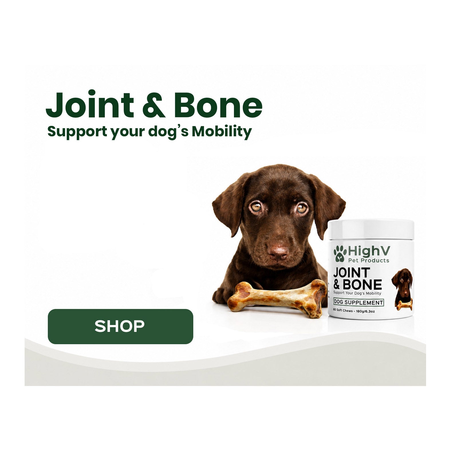 Joint & Bone