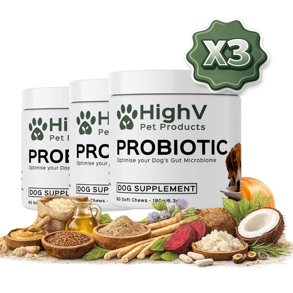 Probiotic Dog Treats X3