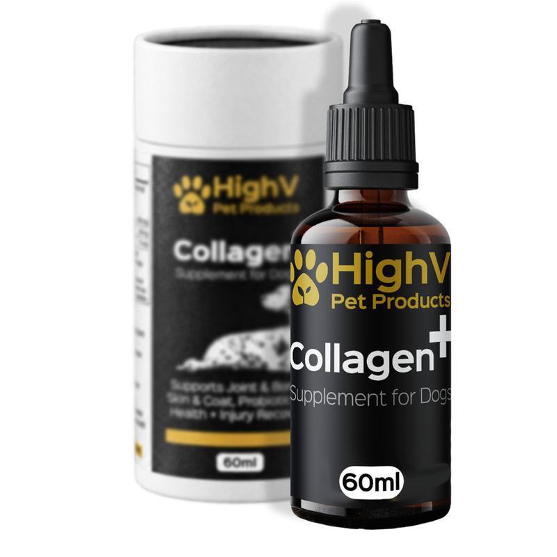 Collagen oil for dogs - HighV Collagen+ liquid supplement